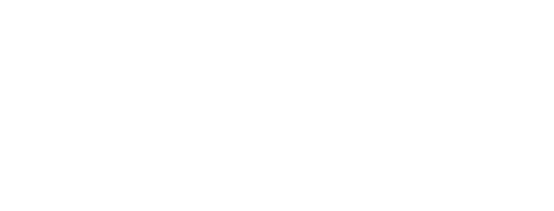 LOGO-SOLOWORK-BRANCA